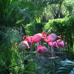 Jardin Botanique